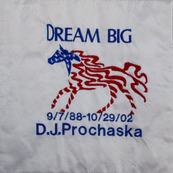 Organ and Tissue Donation, Donor Memorial Quilt (Midwest Transplant Network, Kansas and Missouri)