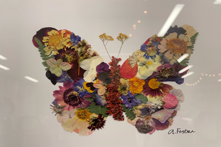 A pressed flower butterfly.